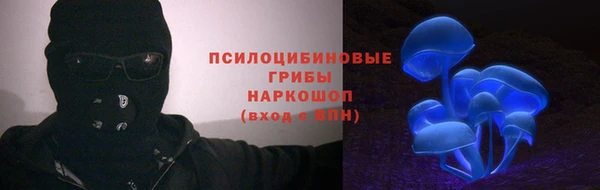 ПСИЛОЦИБИНОВЫЕ ГРИБЫ Белокуриха