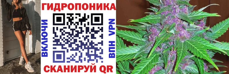 Каннабис Amnesia  Короча 